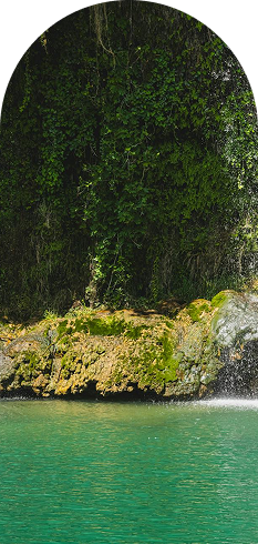 Image [home-hero-img-el] (2)